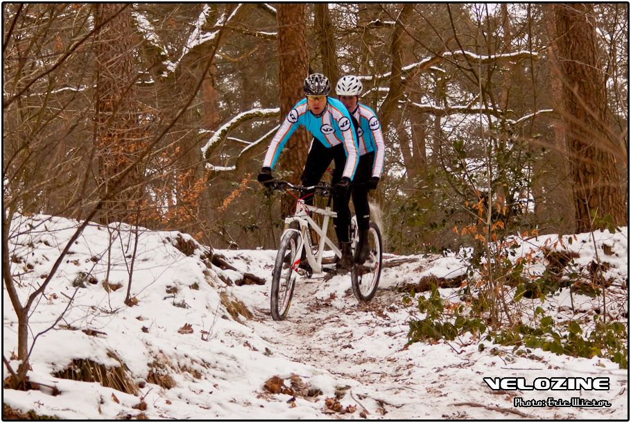 msc tandem
