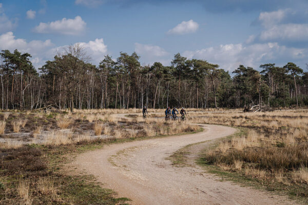 Golden Gravel Series Heeze