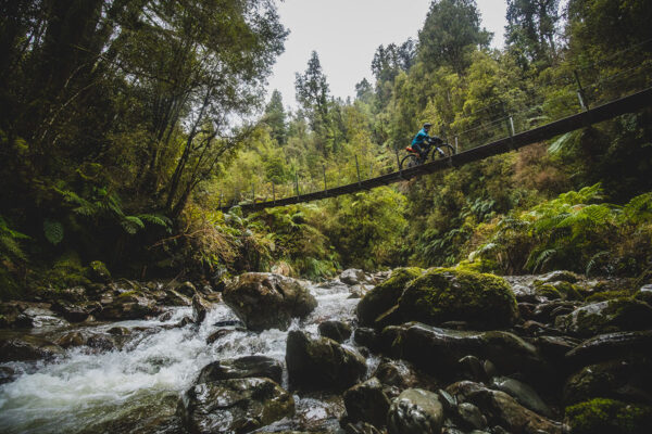 Paparoa Track