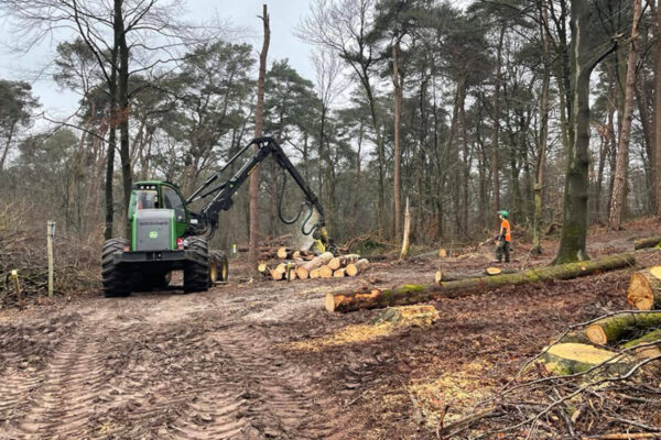 Stormschade_mountainbikeroute_Leersum_b