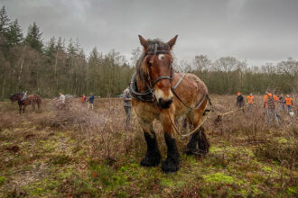 Staatsbosbeheer Stichting MTB Heuvelrug Samenwerking