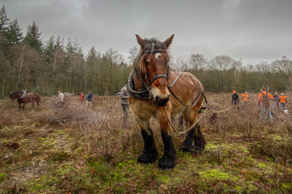 Staatsbosbeheer Stichting MTB Heuvelrug Samenwerking