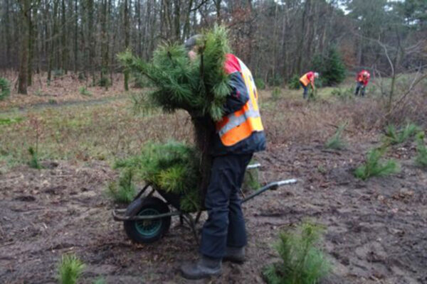 MTBroute_De_Schaak_1000bomen