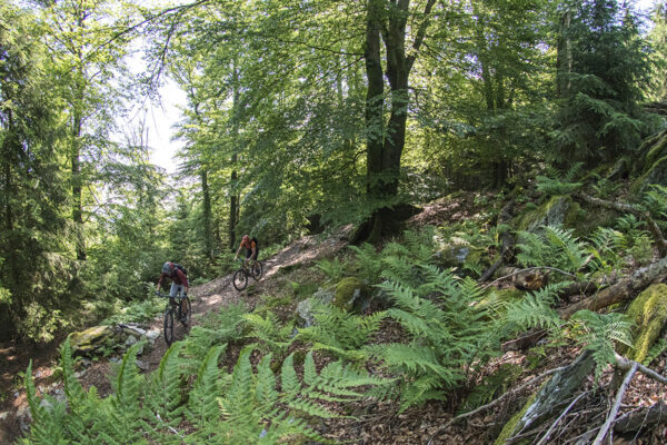 mtb-routes Ardennen