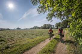 Gravelbike Achterhoek