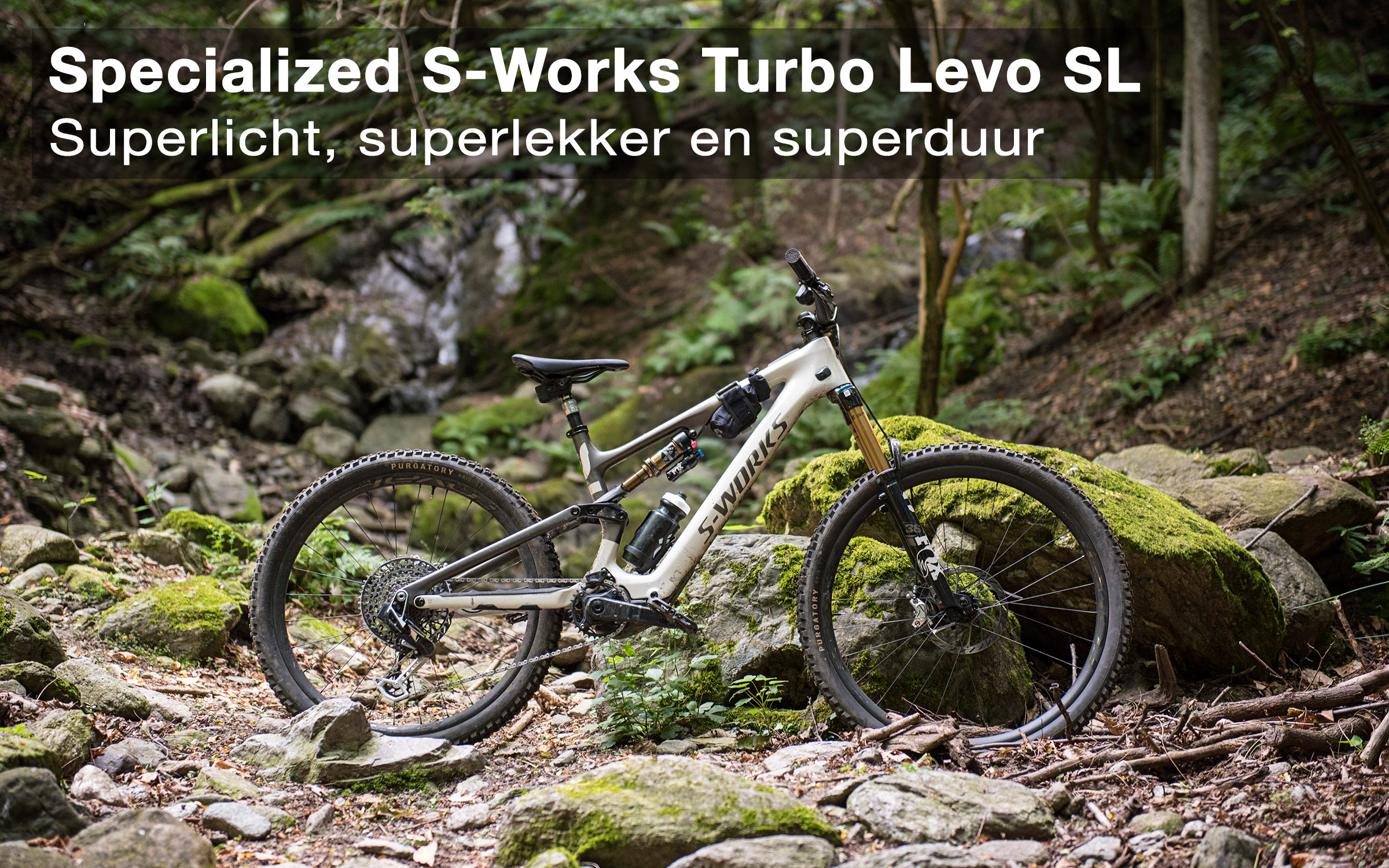 Specialized Turbo Levo SL