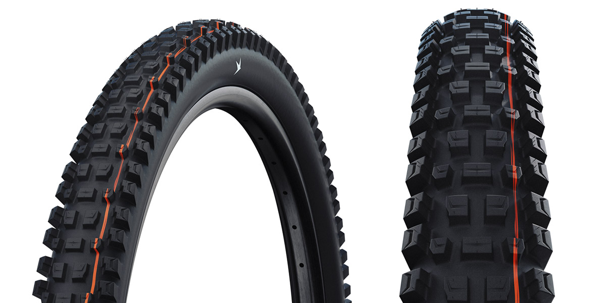 Schwalbe Albert Radial