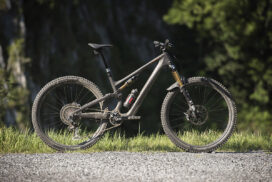 Specialized Stumpjumper 15_17709_12x08_bp