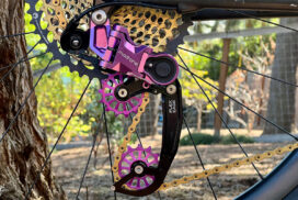 Madrone_Jab_derailleur_02