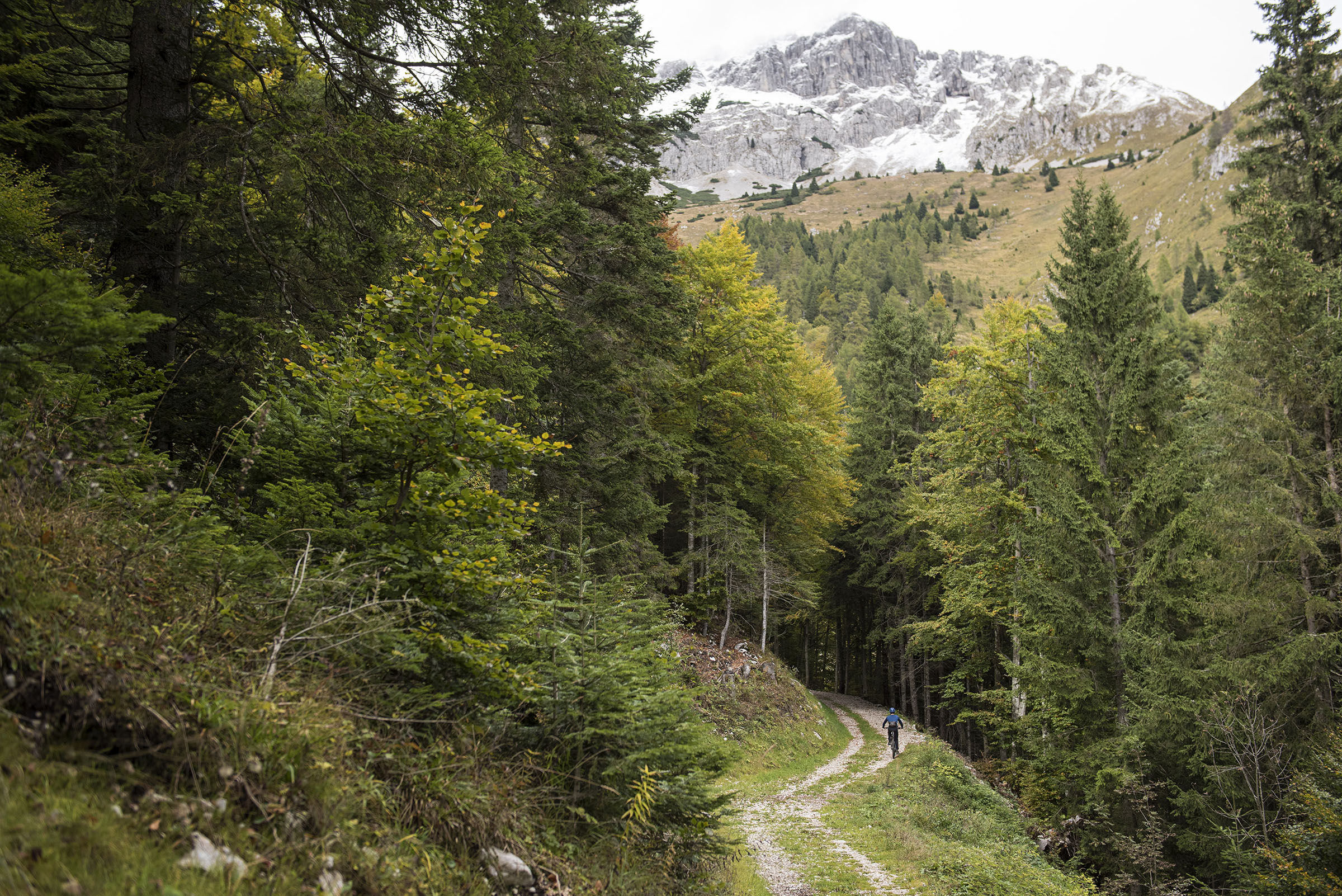 Dolomiti Paganella Bike